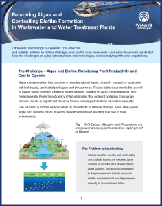 A blue and white brochure cover with a diagram of a lake. The text reads "Removing Algae and Controlling Biofilm Formation in Wastewater and Water Treatment Plants" by Algae Control Australia