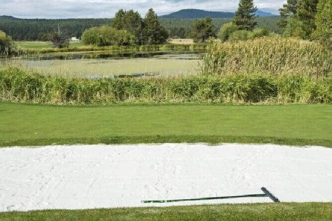 A golf course pond with a green, murky surface caused by excessive algae blooms. Sandy bunkers surround the pond, and trees and grass border the scene.