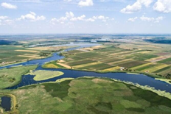 Aerial view of rivers, ponds and streams with bright green algal blooms, surrounded by lush green forests and fields.