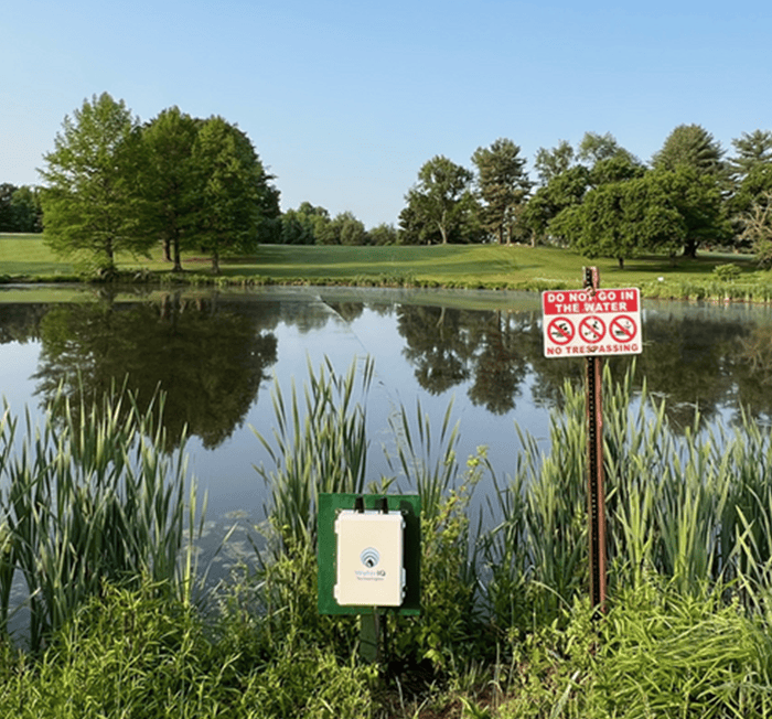 A glistening pond with a no swimming sign in from with bullrush on the nearside melting into beautiful golf fairways on the other.