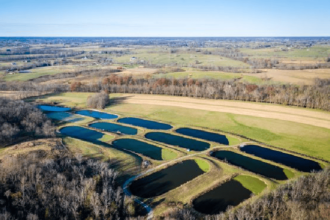 Aerial view of a row of rectangular ponds in a rural area. The ponds are filled with green-colored water and have visible algae blooms. 