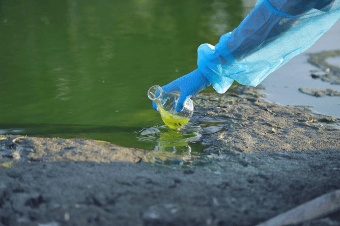 A person wearing blue gloves kneels beside a pond. They are holding a beaker filled with green liquid, which appears to have been collected from the pond. There are patches of green algae visible on the water's surface.