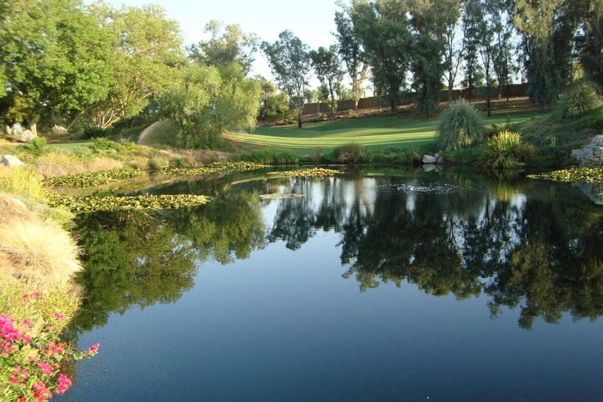 Serene clean pond reflecting vibrant green trees, creating a peaceful natural landscape ideal for relaxation or meditation.